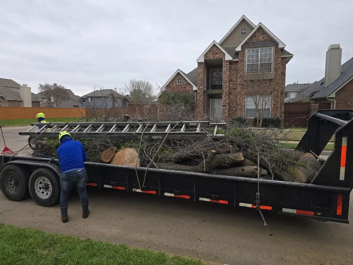 Expert Tree Fertilization with proper safety equipment in Vashon